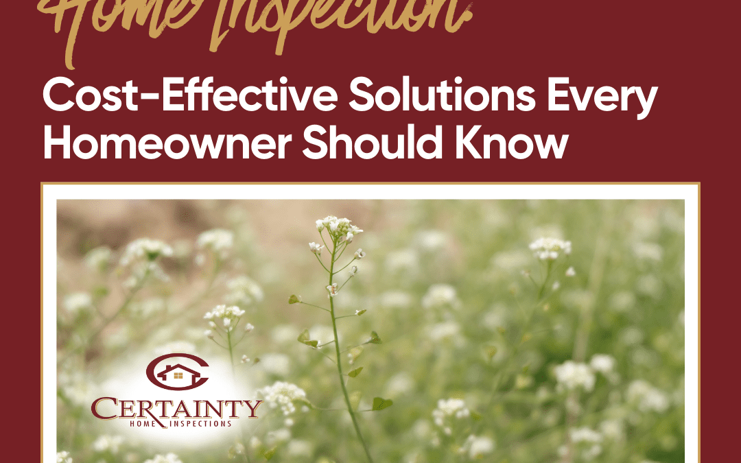 Spring Maintenance Home Inspection: Cost-Effective Solutions Every Homeowner Should Know