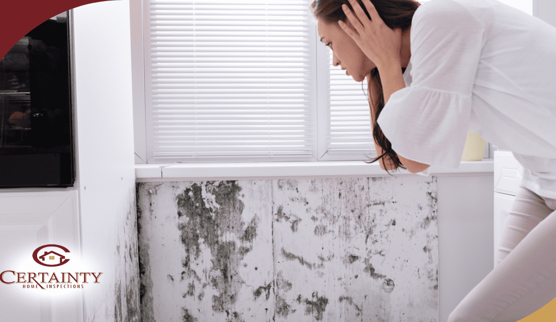 Common Mold Indicators Every Home Inspector Searches For