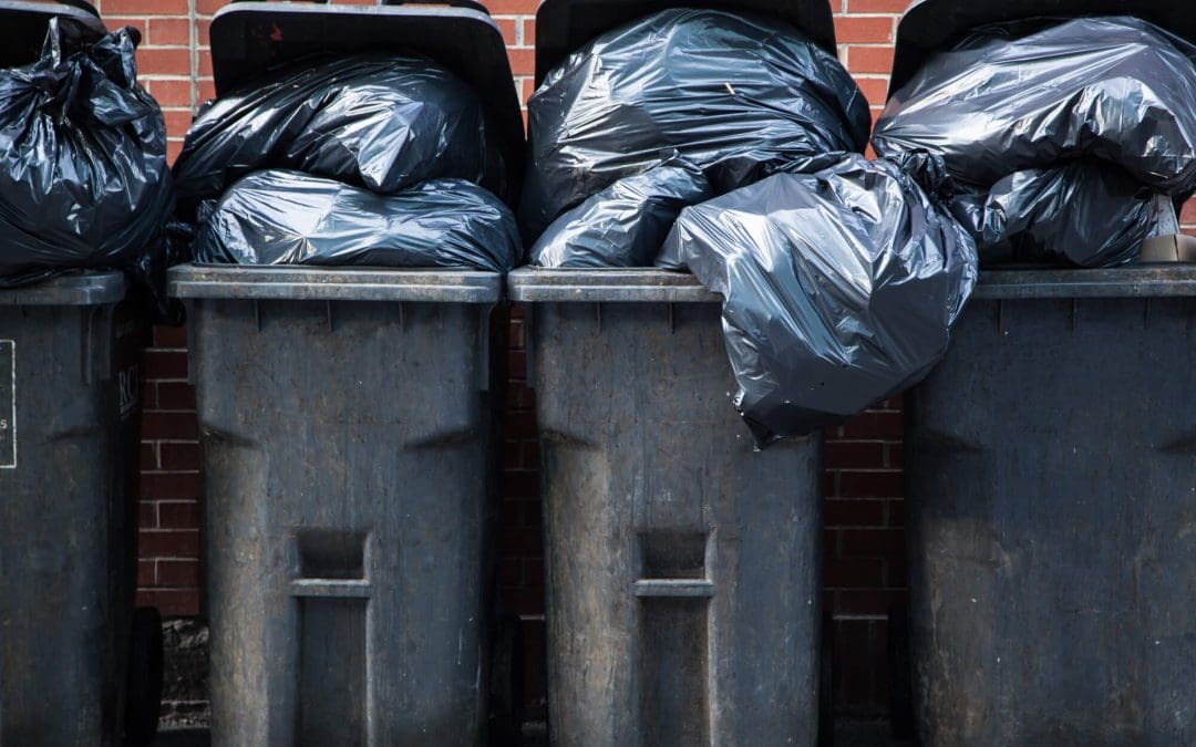 7 Easy Ways to Reduce Household Waste