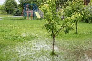 improve drainage on your property