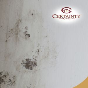 Mold growth on interior wall near window