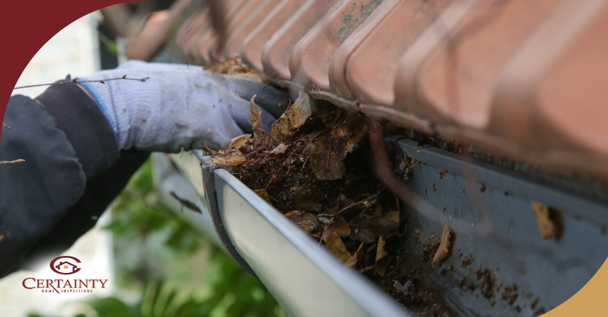 Gloved hand clearing wet leaves from a house gutter.