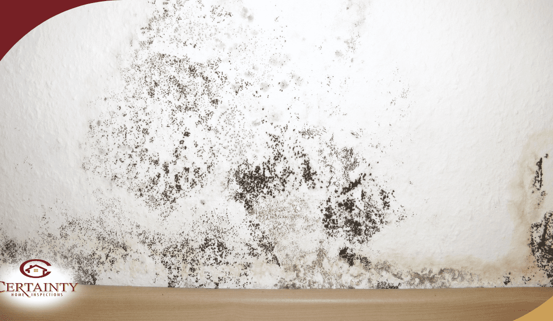 Hidden Home Issues After Winter And How To Spot Them