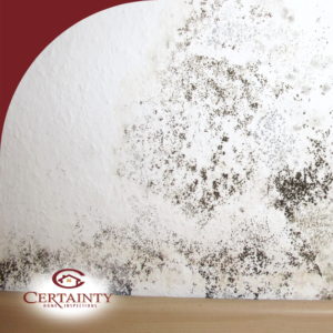 Mold growth on interior wall from moisture