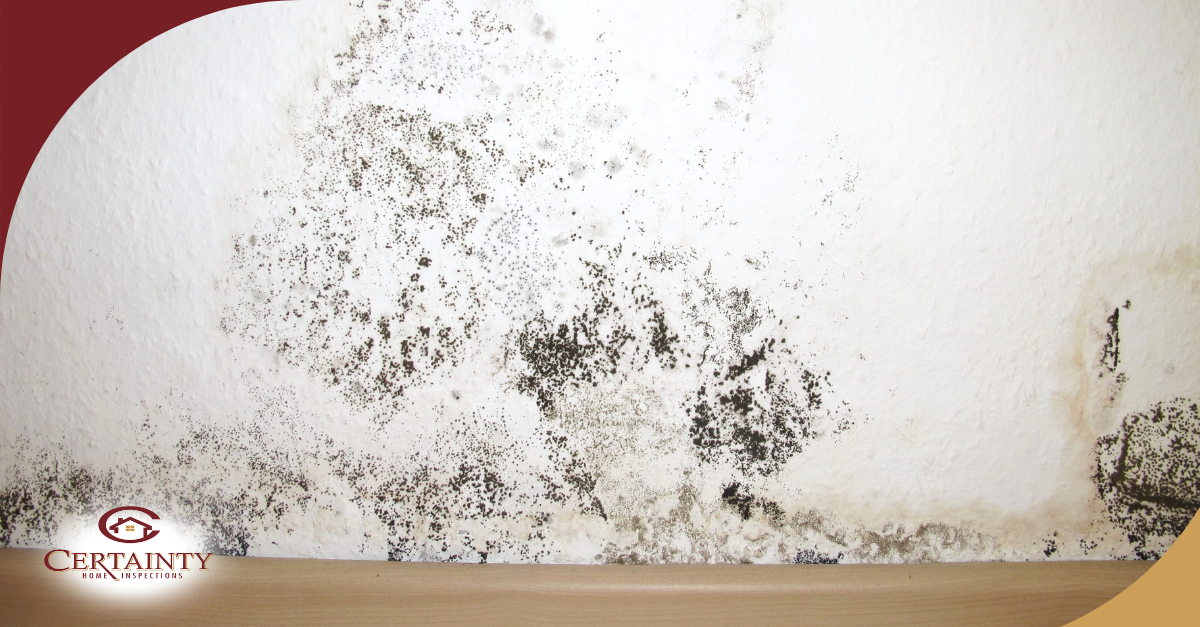 Mold growth on interior wall from moisture