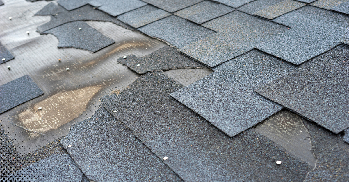 Damaged asphalt roof shingles after winter