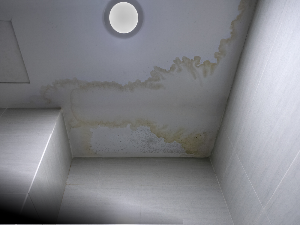 Ceiling water stains indicating potential roof leak.