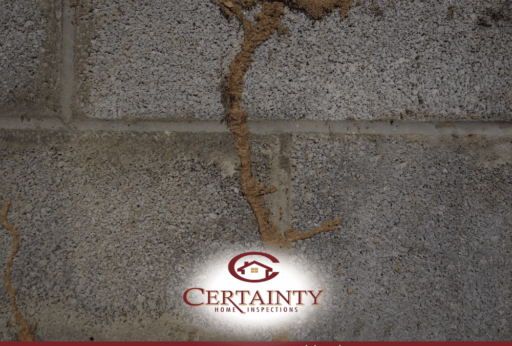 Early Spring Termite And Moisture Signs In Charlestown, Ky