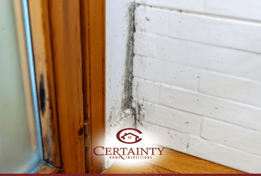 Spring Pest And Humidity Protection In Clarksville, Ky