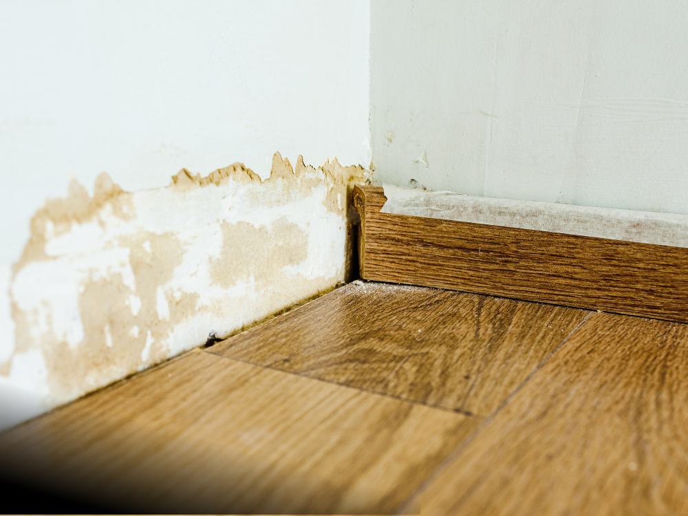 Water damage on wall near the baseboard, showing peeling paint and wood floor.